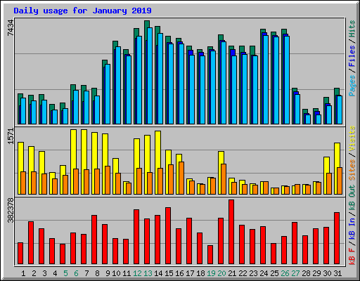 Daily usage for January 2019