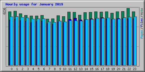 Hourly usage for January 2019